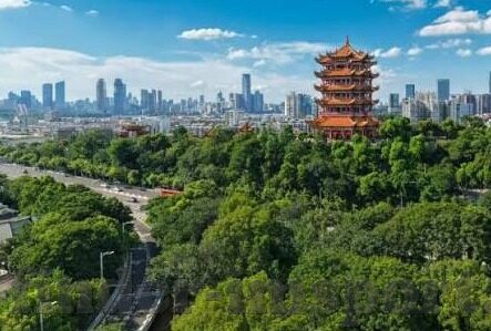 开云体育可信吗知乎-关于开云体育的探讨，信任建立与认知深化